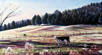 Cow in morning pasture